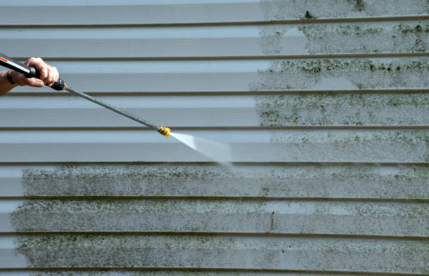 Best Patio and Deck Pressure Washing  in Kingston Springs, TN